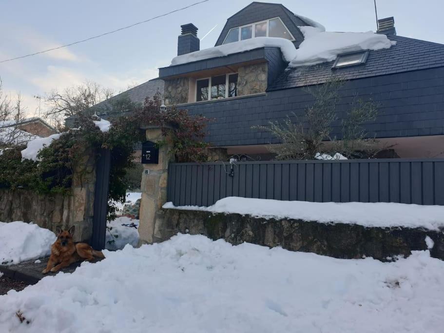 Chalet De 5 Habitaciones En La Sierra De Madrid El Olivo De Miraflores 米拉弗洛迪拉希 外观 照片
