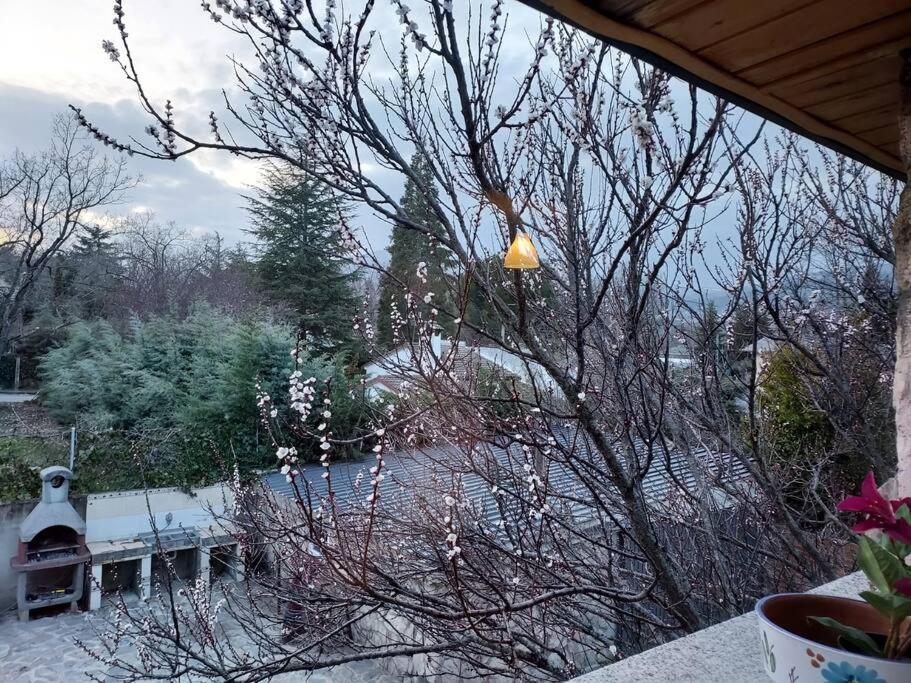 Chalet De 5 Habitaciones En La Sierra De Madrid El Olivo De Miraflores 米拉弗洛迪拉希 外观 照片